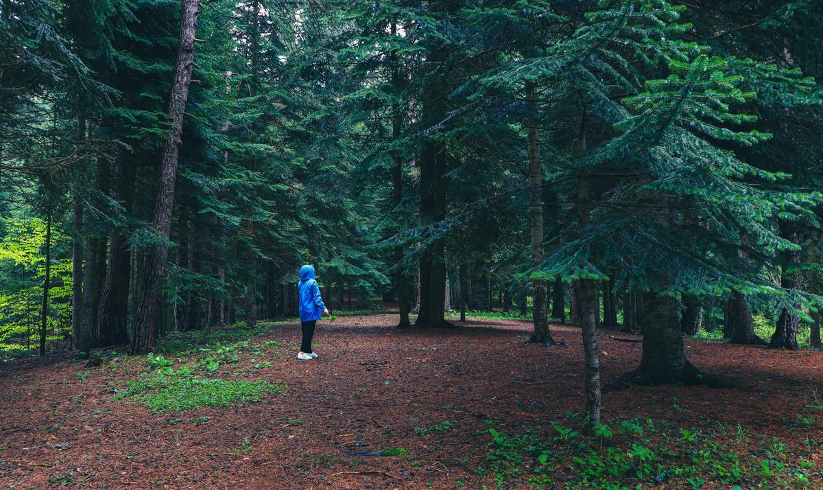 Digital Detox: Reclaiming Your Mind in a Tech-Driven World